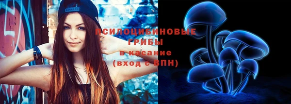 Альфа ПВП Медногорск