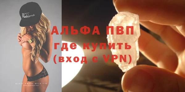 СК Медвежьегорск
