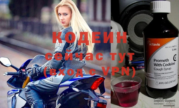 СК Медвежьегорск