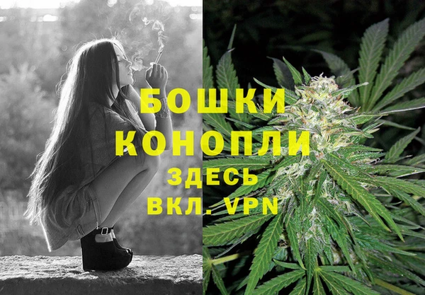 СК Медвежьегорск