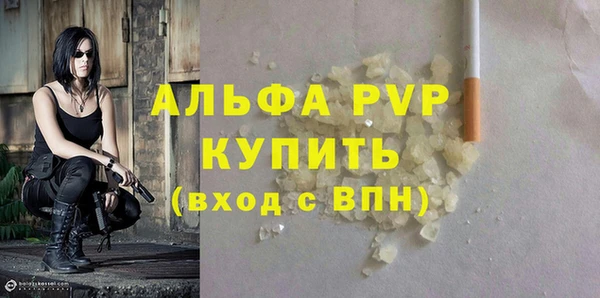 СК Медвежьегорск