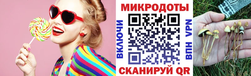ссылка на мегу   Чишмы  Псилоцибиновые грибы Magic Shrooms 